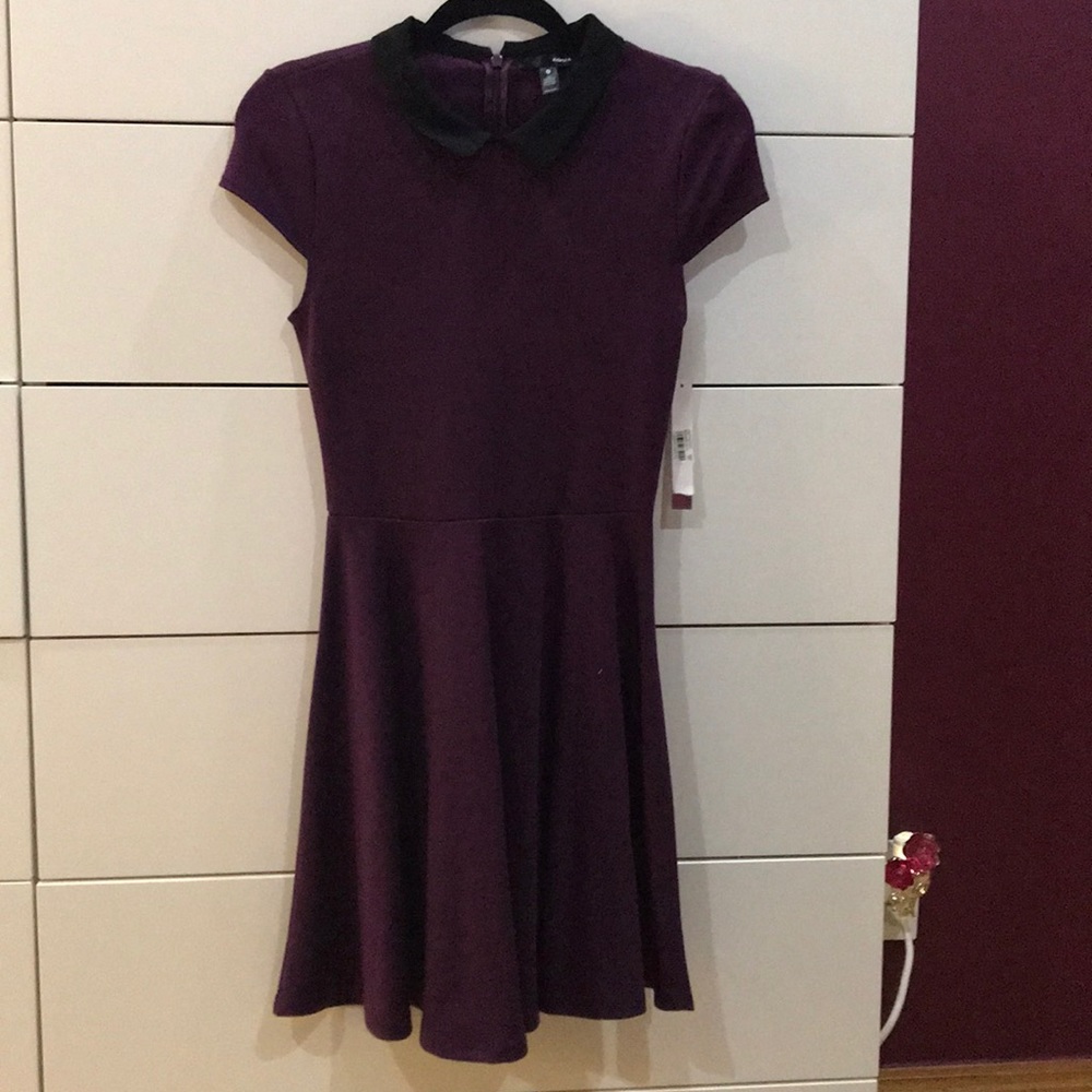 Aqua Plum black collared dress